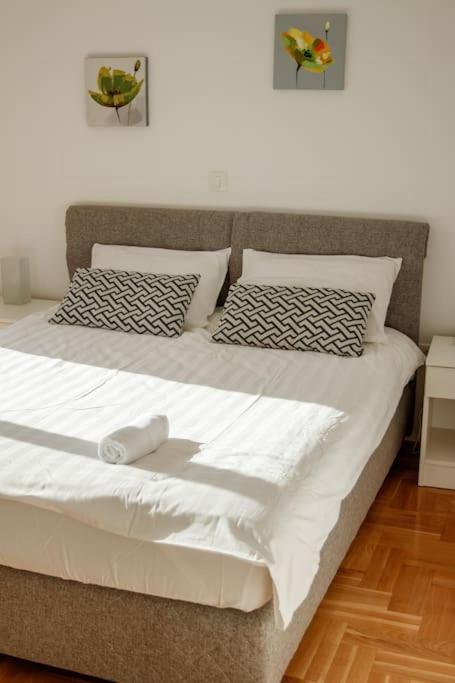 הרצג-נובי Acacia Hill Apartments מראה חיצוני תמונה
