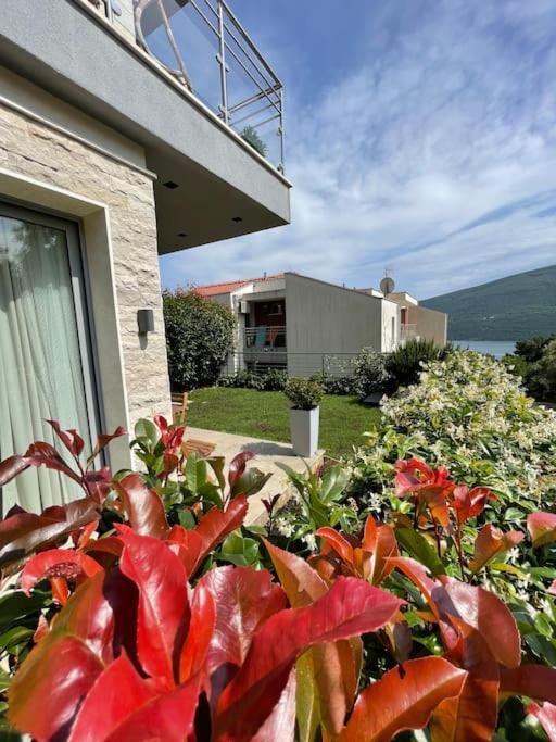 הרצג-נובי Acacia Hill Apartments מראה חיצוני תמונה